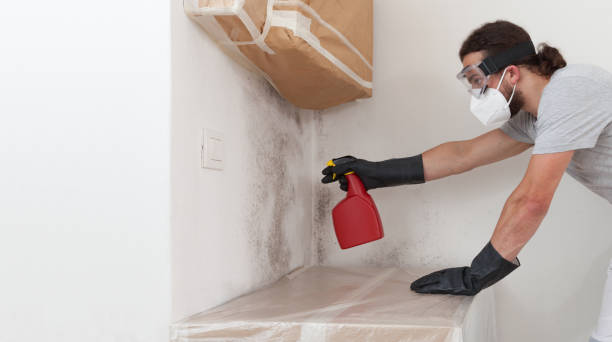Professional Crawl Space Mold Removal technician working in National Park, NJ