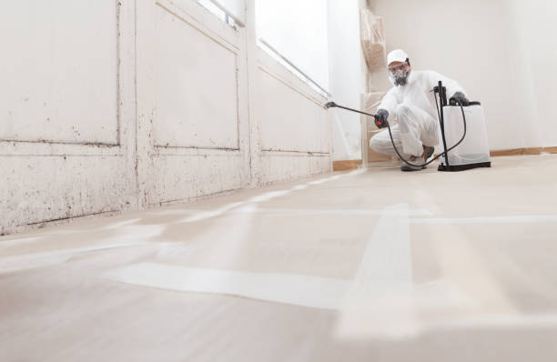 24/7 Emergency Crawl Space Mold Removal experts in National Park, NJ